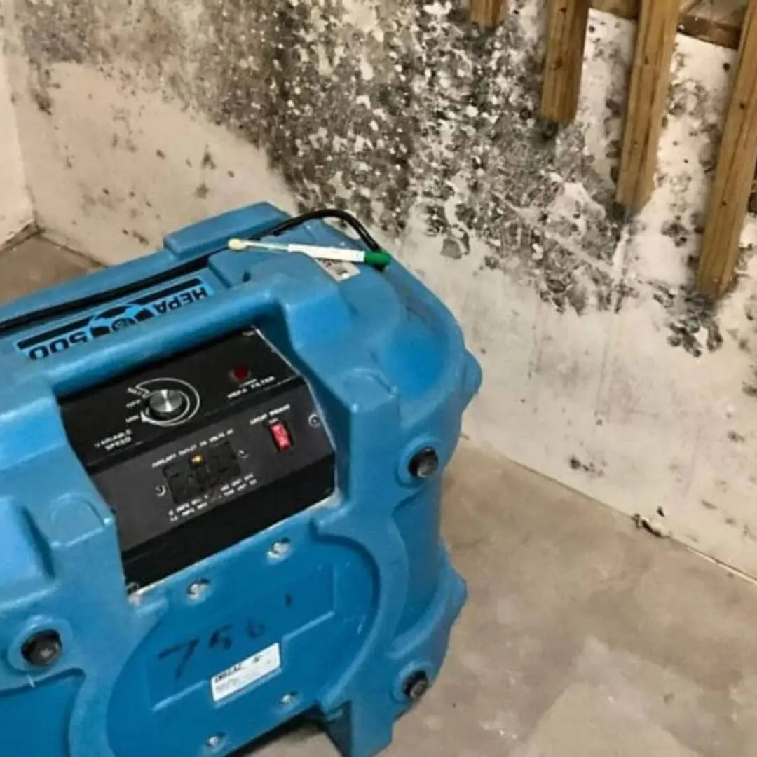 HEPA air scrubber in a mold-infested environment, showcasing mold growth on the wall, emphasizing mold inspection and remediation services.