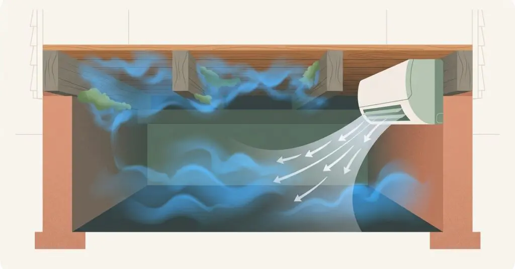 Why Georgia Crawl Spaces Are a Mold Magnet and What to Do About It