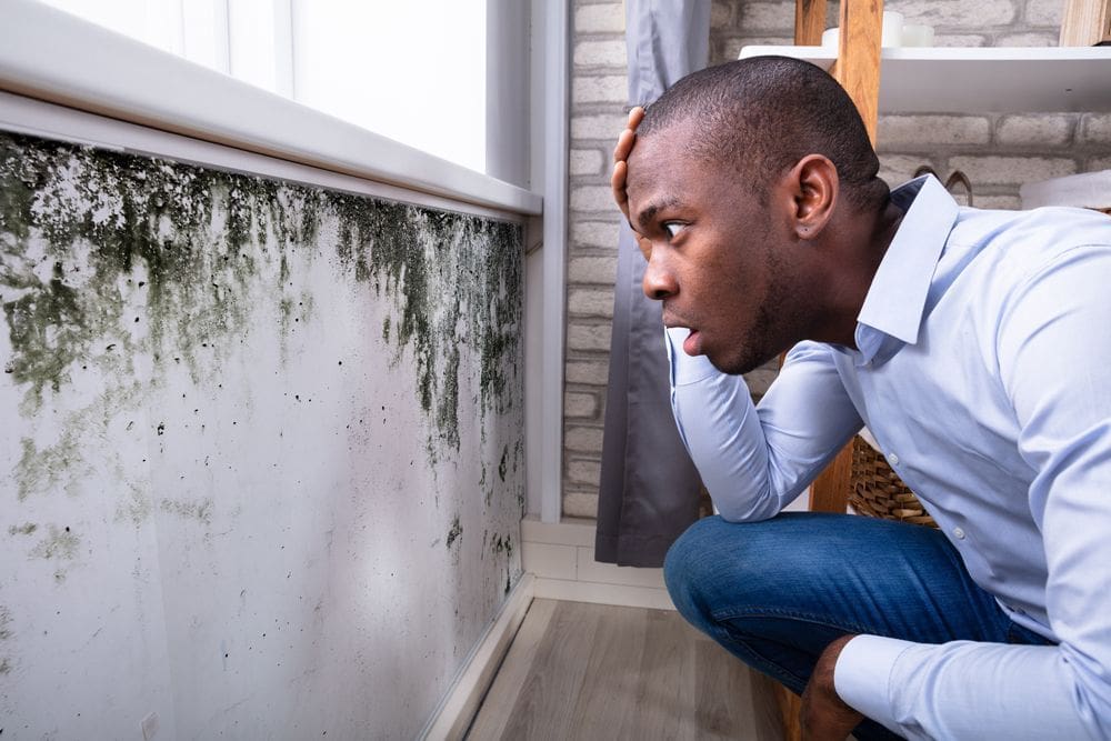 Surprised homeowner returned home to discover mold beneath a leaky window seal. He called EnviroPro 360 - the mold testing specialist in Aiken, SC & Augusta, GA.