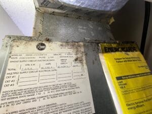 Image of black mold around an AC system, causing air quality issues.