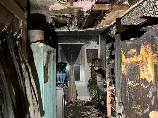 Image showing severe structural mold damage to a home.