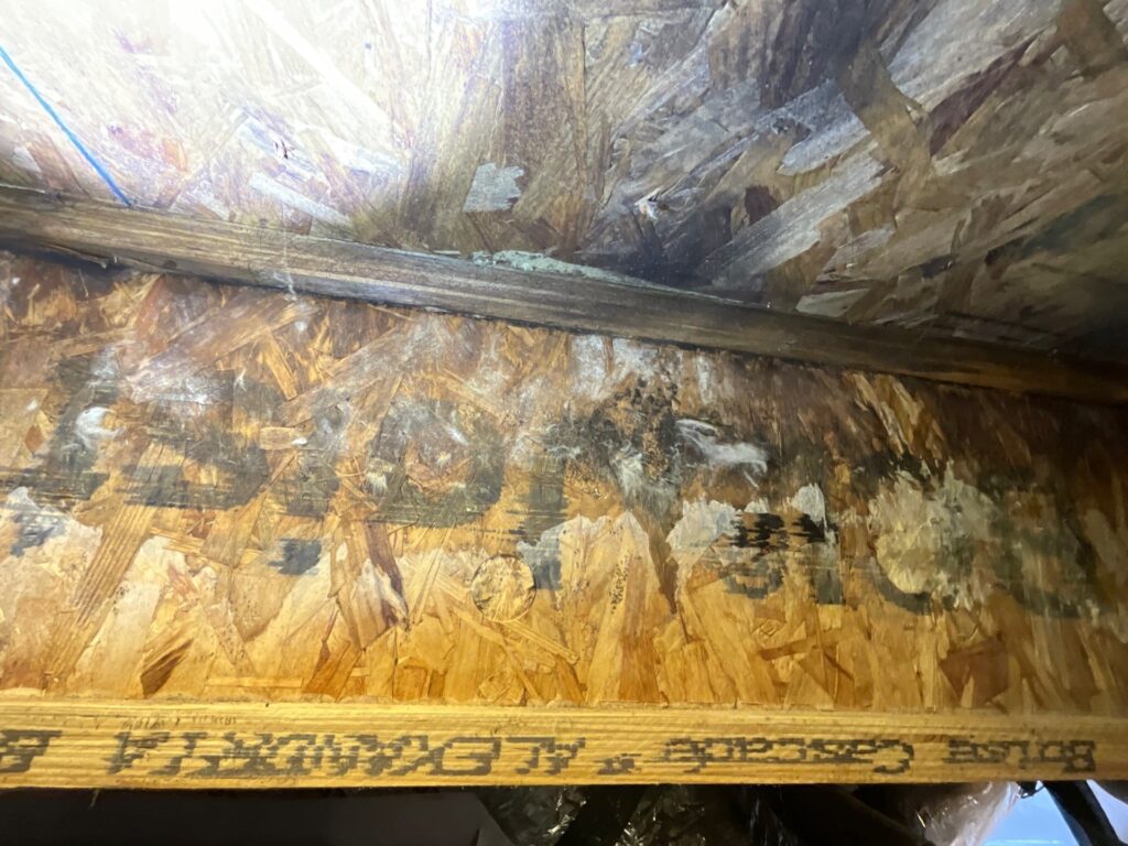 Black mold on wood caused by excessive moisture inside the home, identified by EnviroPro 360 during a mold inspection.