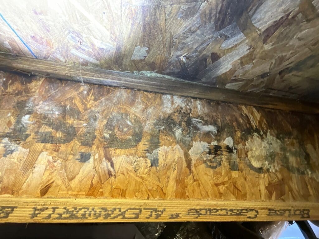 Image of mold permeating the subfloor seen in a crawlspace. This can cause structural mildew damage.