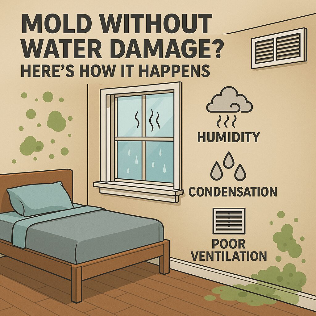 Think your home is safe just because you haven’t had a leak? Hidden mold doesn’t need a flood to grow. Schedule your professional mold inspection with EnviroPro 360 today—because a safe environment begins with us.